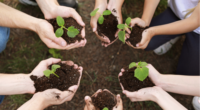 From Classroom to Career: Shaping the Future of Horticulture Education
