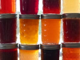 February was National Canned Food Month – A Forager’s Journey Through Colorado’s Wild Bounty