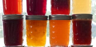 February was National Canned Food Month – A Forager’s Journey Through Colorado’s Wild Bounty