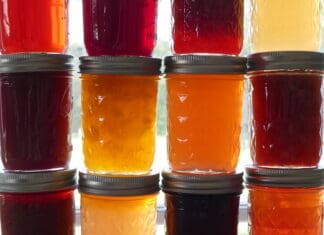 February was National Canned Food Month – A Forager’s Journey Through Colorado’s Wild Bounty