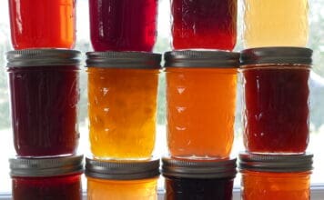 February was National Canned Food Month – A Forager’s Journey Through Colorado’s Wild Bounty