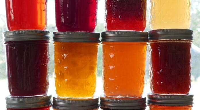 February was National Canned Food Month – A Forager’s Journey Through Colorado’s Wild Bounty