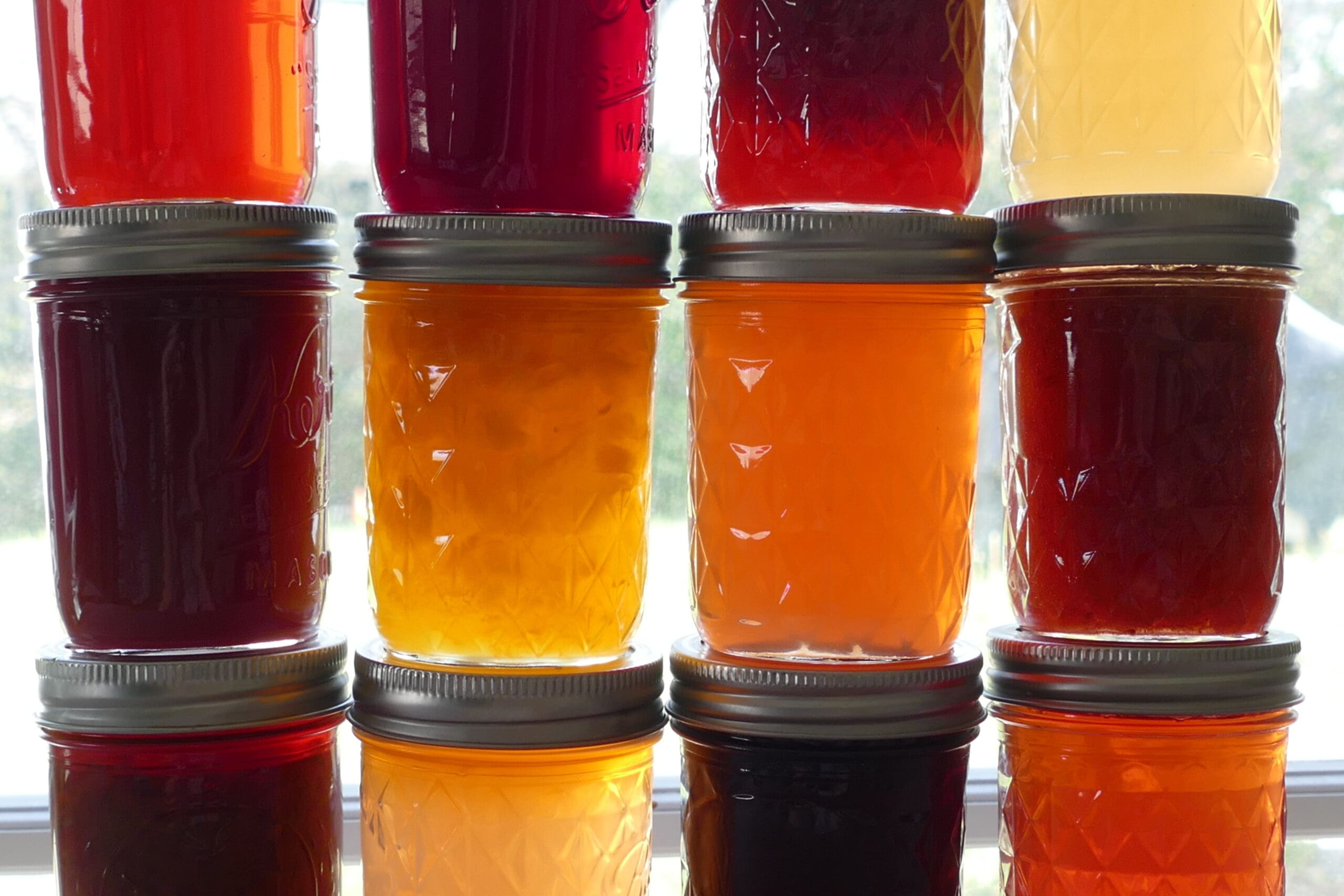 February was National Canned Food Month – A Forager’s Journey Through ...