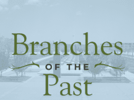 Branches of the Past: Stories from the CNGA Community