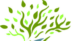 GreenCO Stays Strong at the Capitol