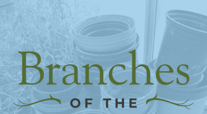 Branches of the Past: Stories from the CNGA Community