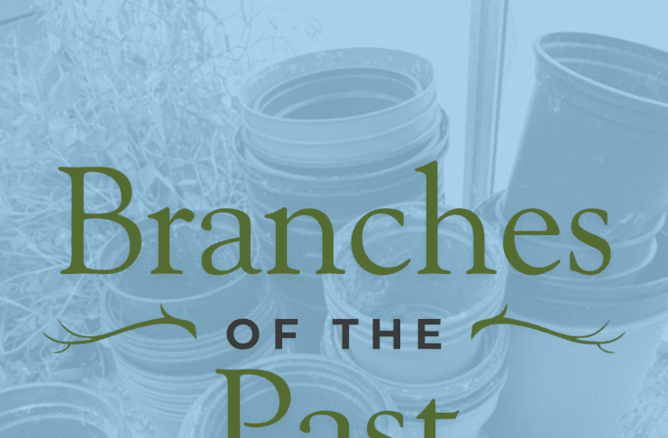 Branches of the Past: Stories from the CNGA Community