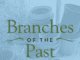 Branches of the Past: Stories from the CNGA Community