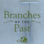 Branches of the Past: Potting Soil