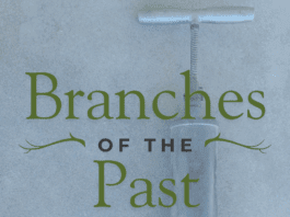 Branches of the Past: Potting Soil