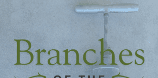 Branches of the Past: Potting Soil