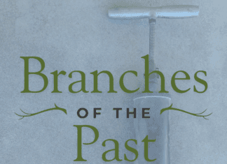 Branches of the Past: Potting Soil