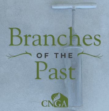 Branches of the Past: Potting Soil