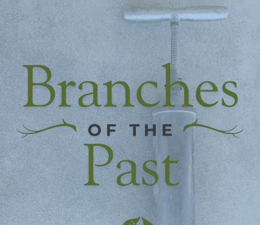 Branches of the Past: Potting Soil