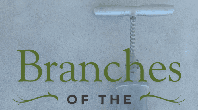 Branches of the Past: Potting Soil